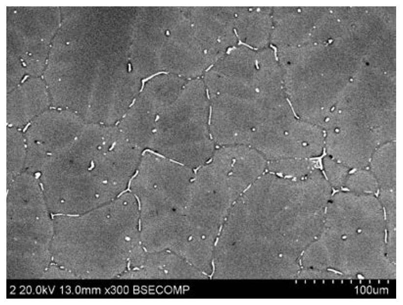 A kind of antibacterial magnesium alloy