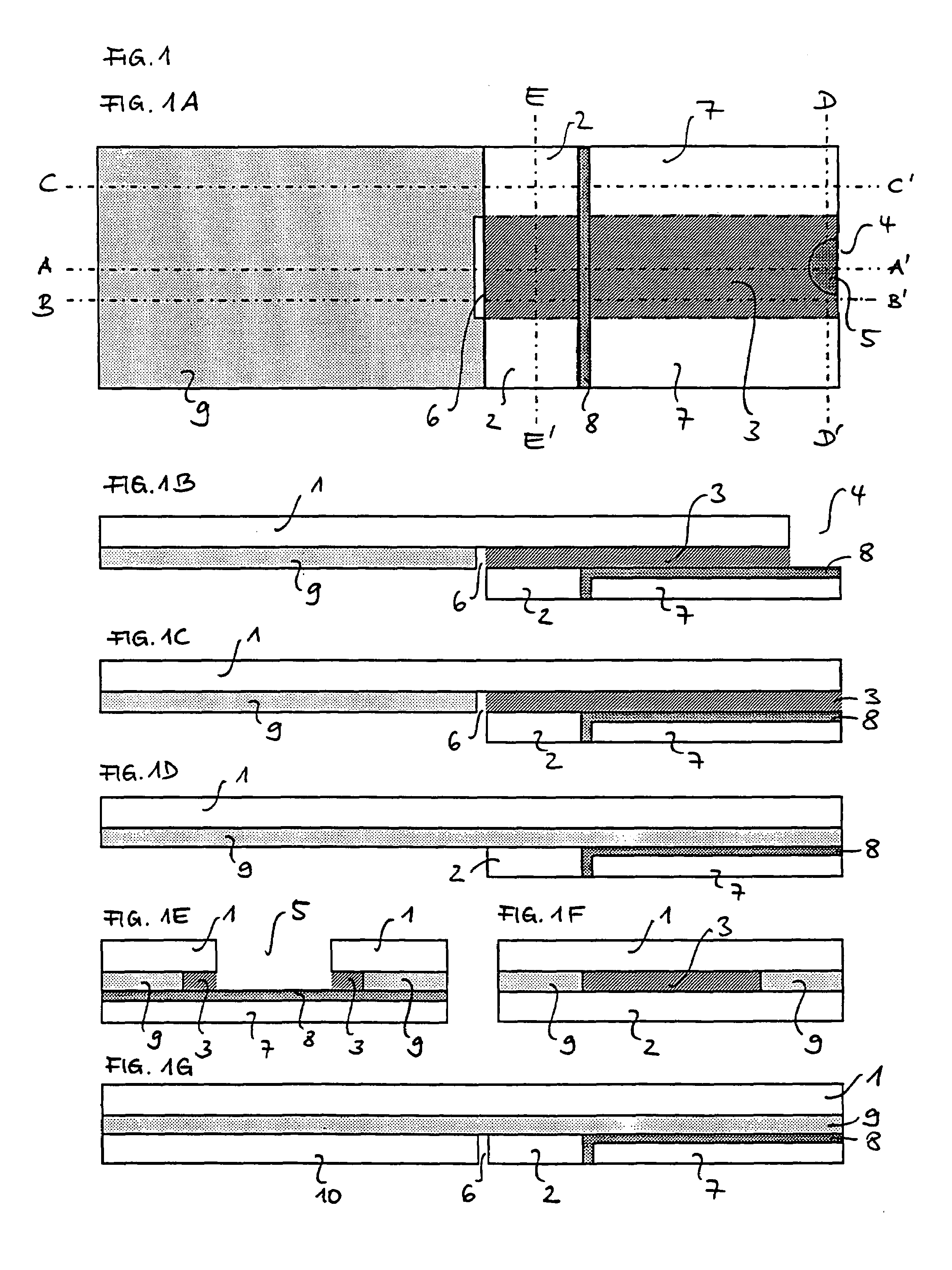 Capillary active test element having an intermediate layer situated between the support and the covering