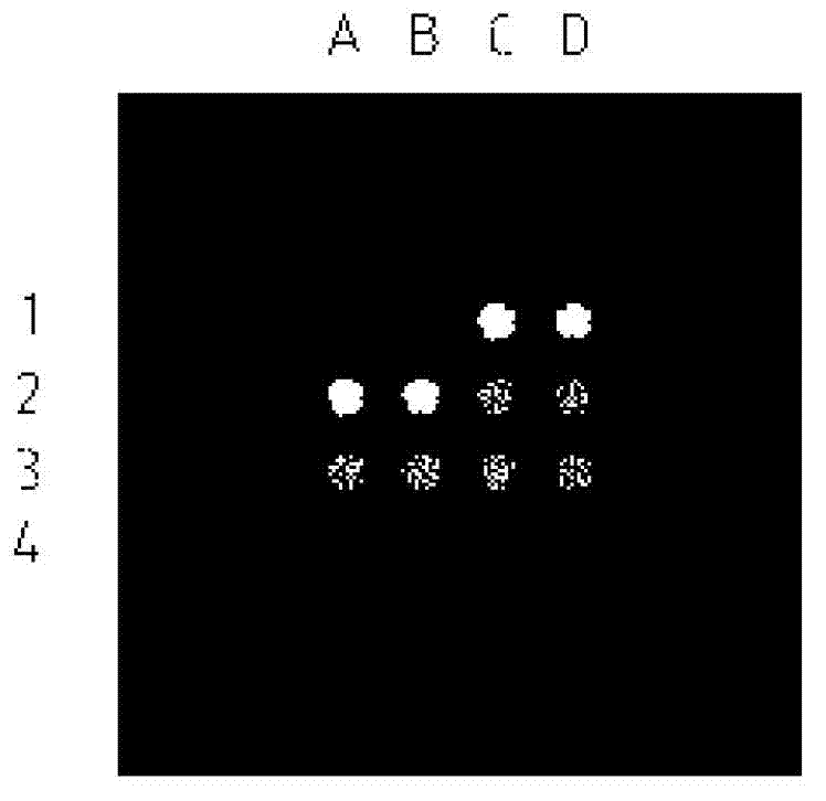 Protein chip reagent kit and method for comprehensively detecting lung cancer marker