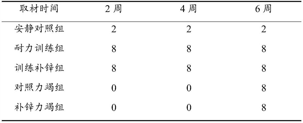 Yeast zinc solid beverage and preparation method thereof