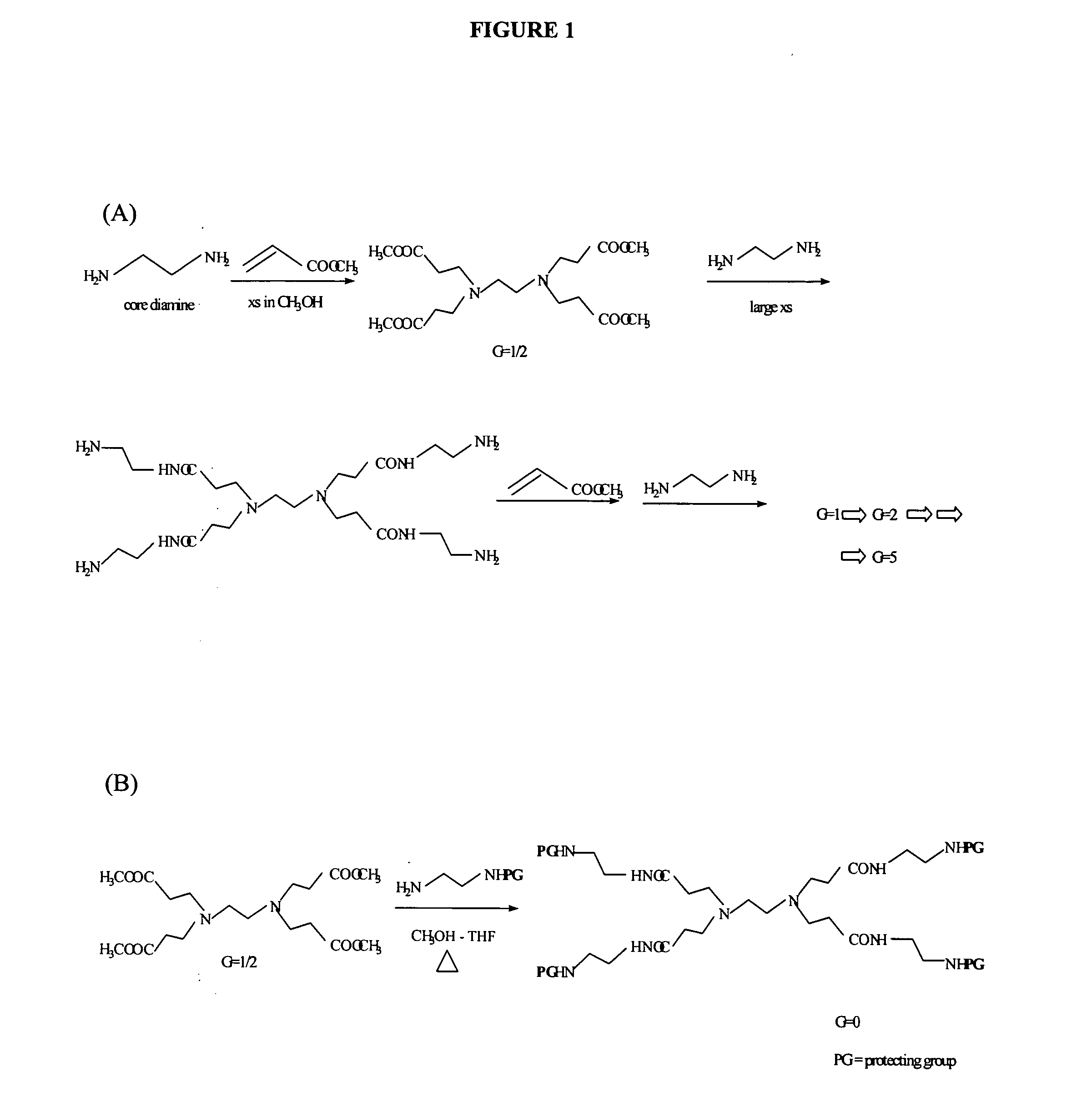 Dendrimer based compositions and methods of using the same