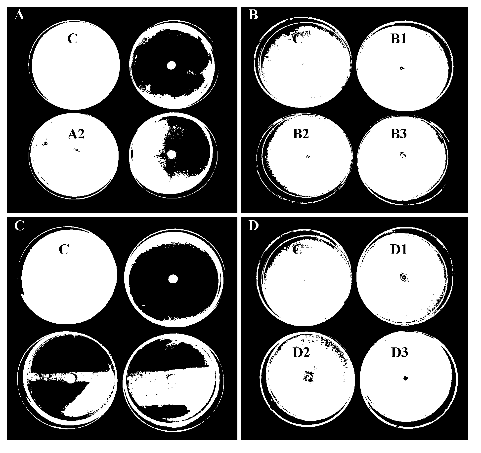 Method for control of phytophthora blight of pepper by mixed application of trichoderma preparation and fungicides