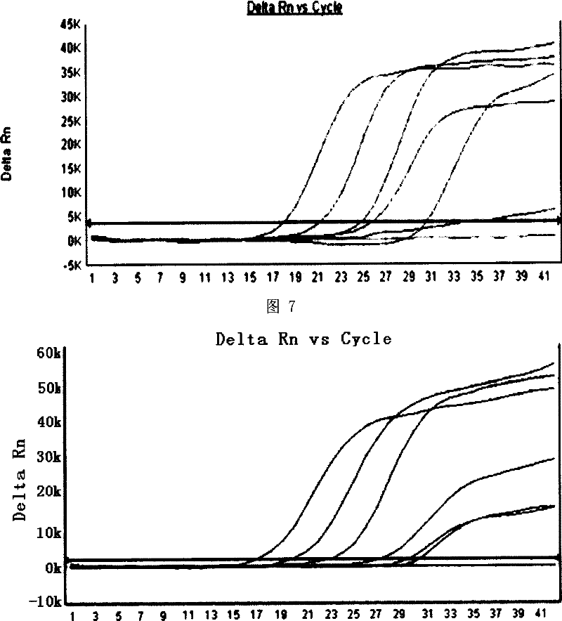 Quality evaluation process of inactivate effect of methylen blue photochemical virus and quality-controlling products thereof