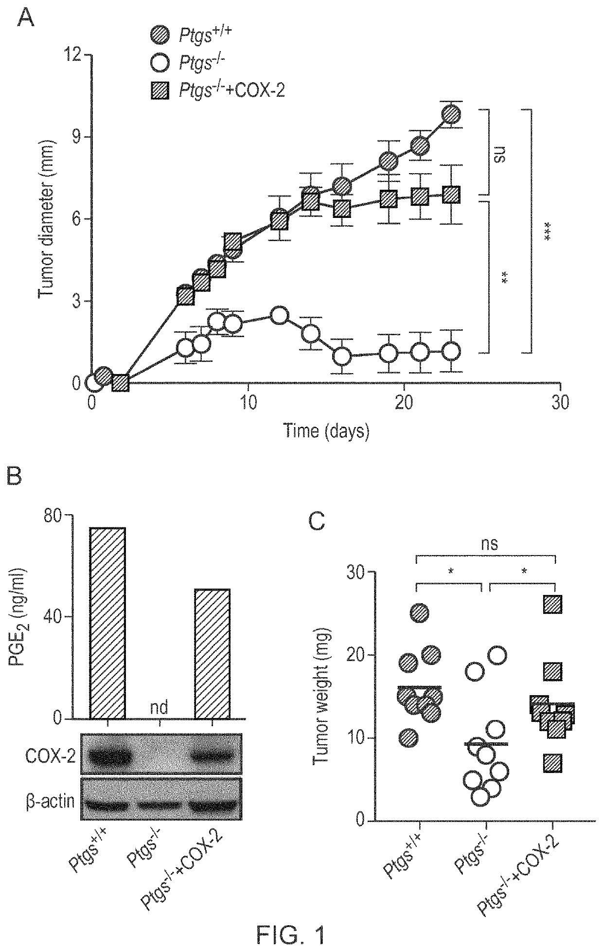 Prognostic and treatment response predictive method