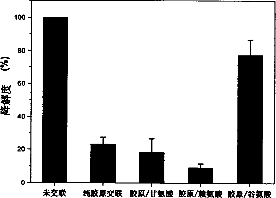 Method of regulating degradation rate of porous collagen-based cradle with amino acid