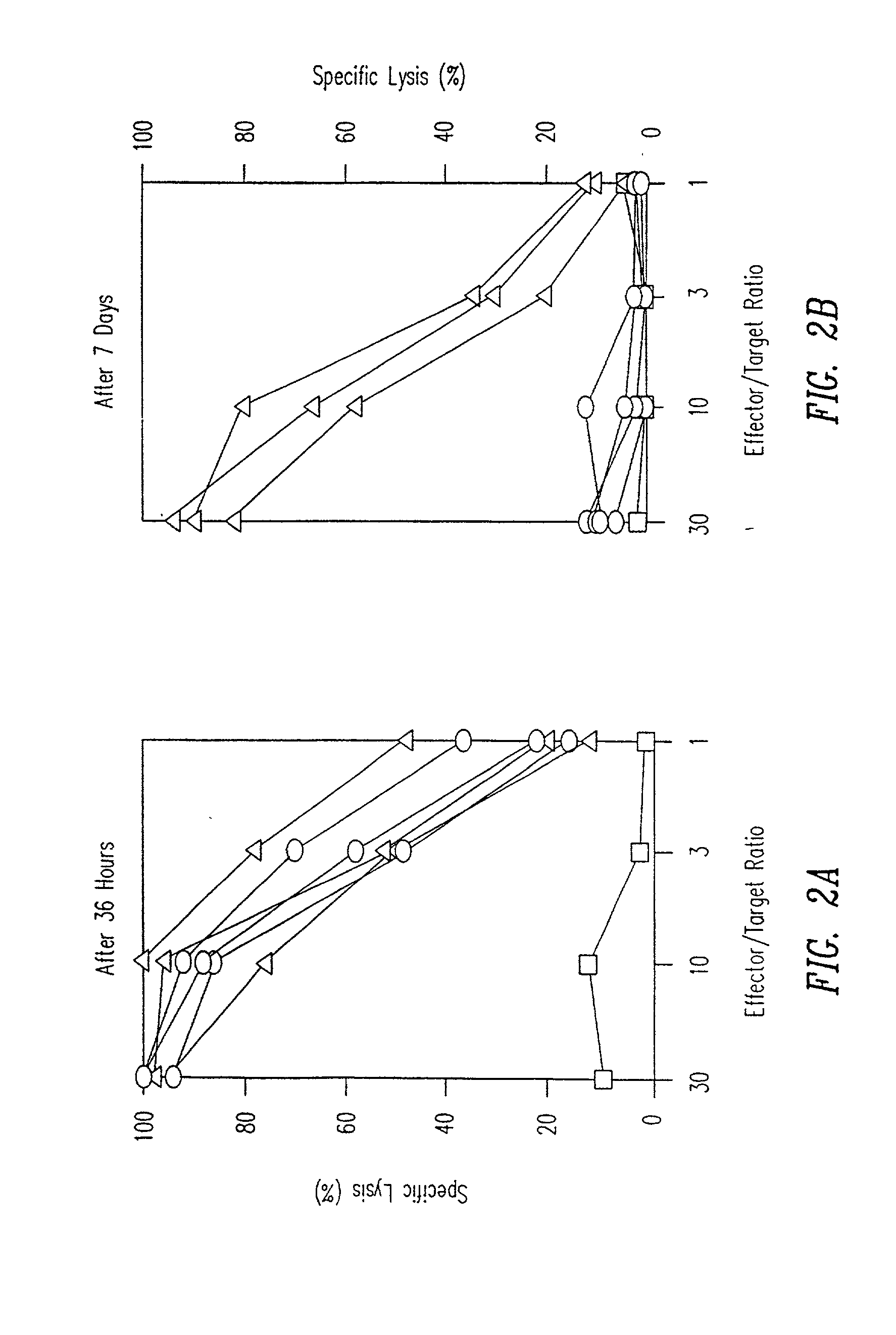 Method of inducing a CTL response