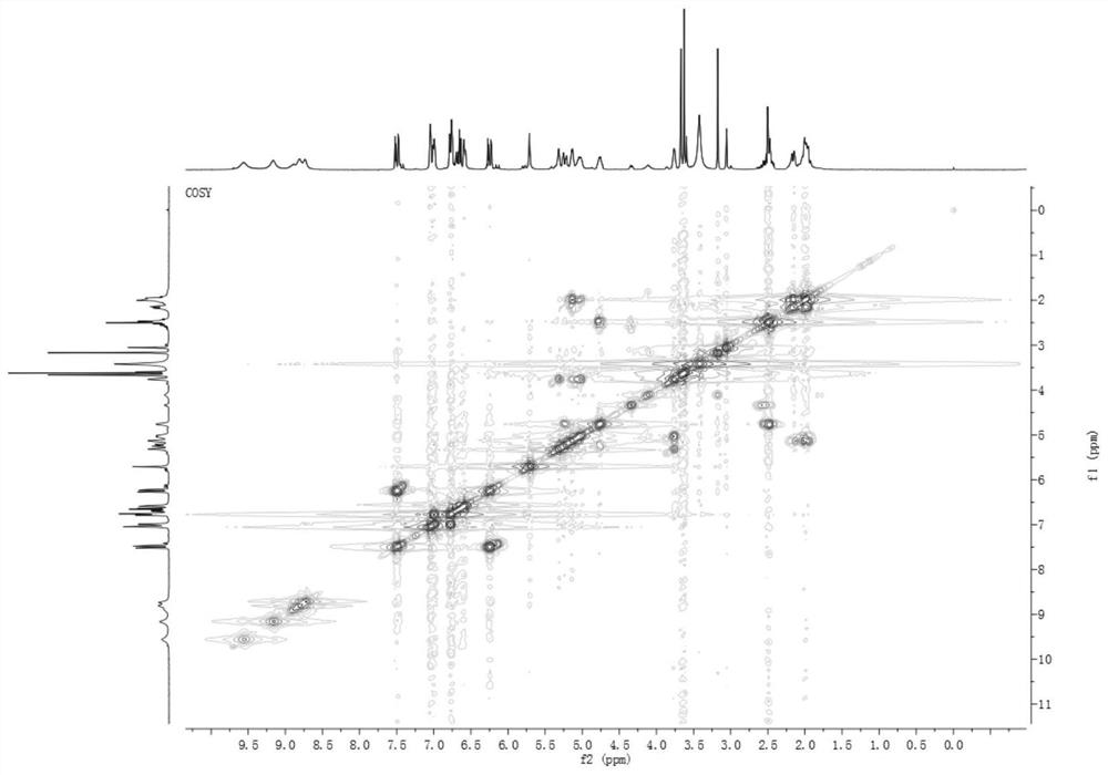 Extraction method, product and application of caffeoylquinic acid compounds