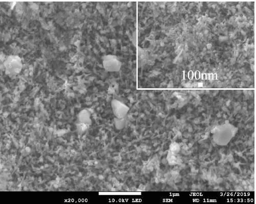 Artificial tooth root with synergistic antibacterial coating and preparation method of artificial tooth root