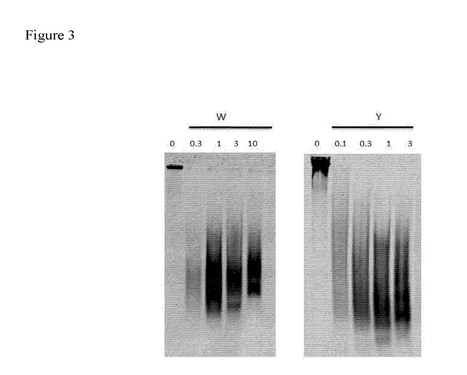 Dithiol mucolytic agents