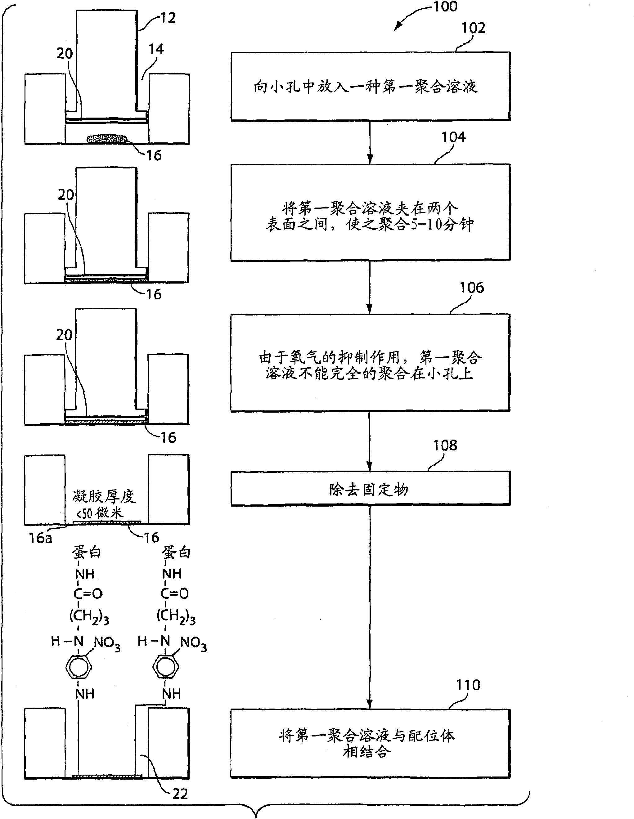 Compliant surface multi-well culture plate