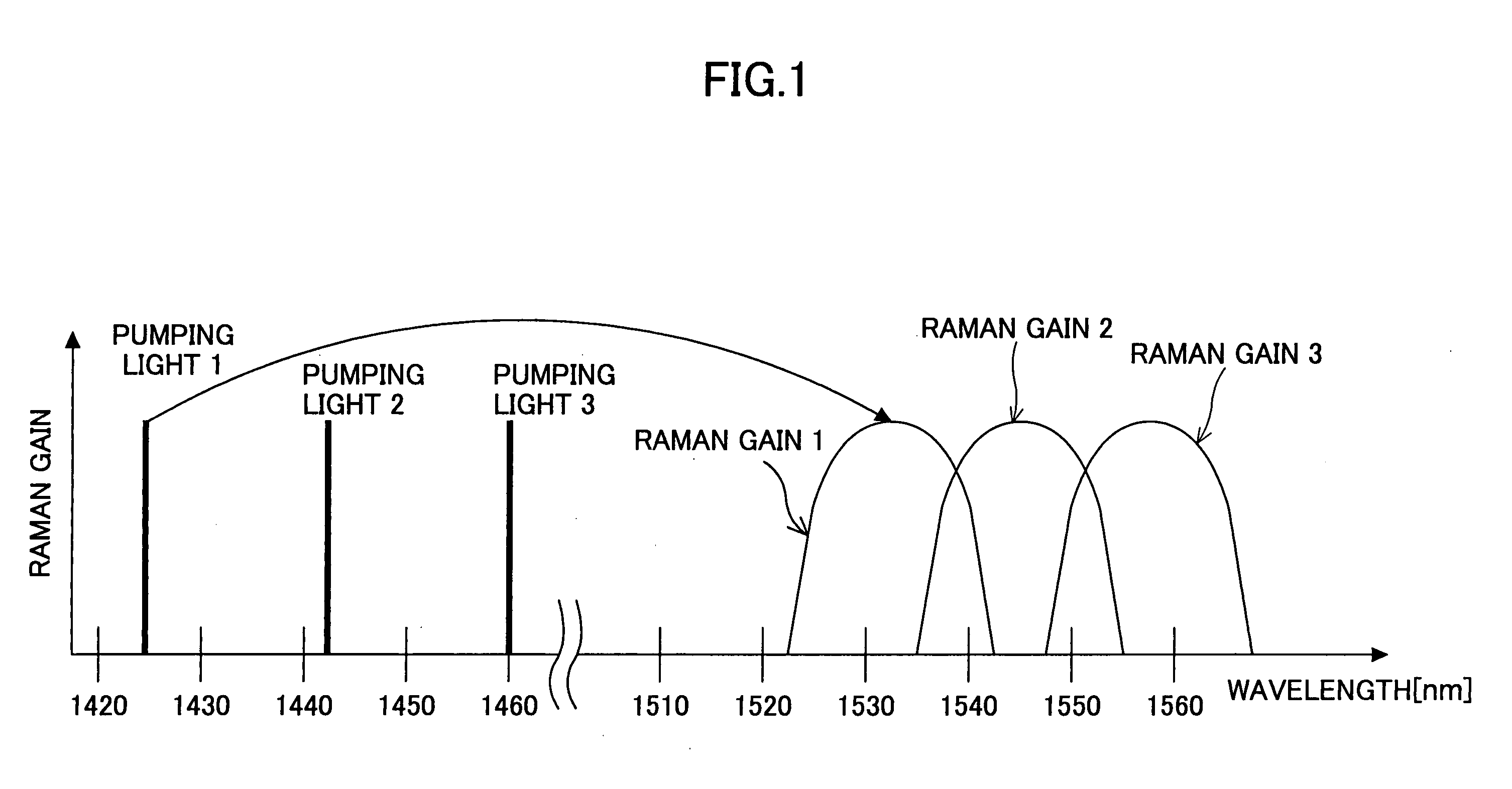 Raman amplifier and raman amplifier adjustment method