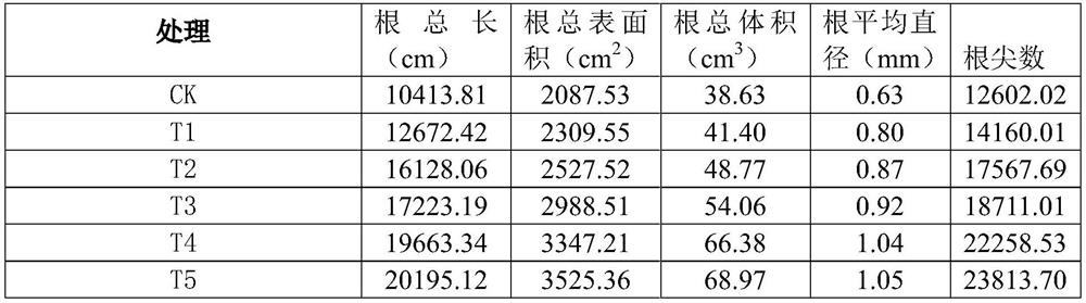 Special water-soluble fertilizer for delaying decline of tree body with Huanglongbing as well as preparation and application methods of special water-soluble fertilizer