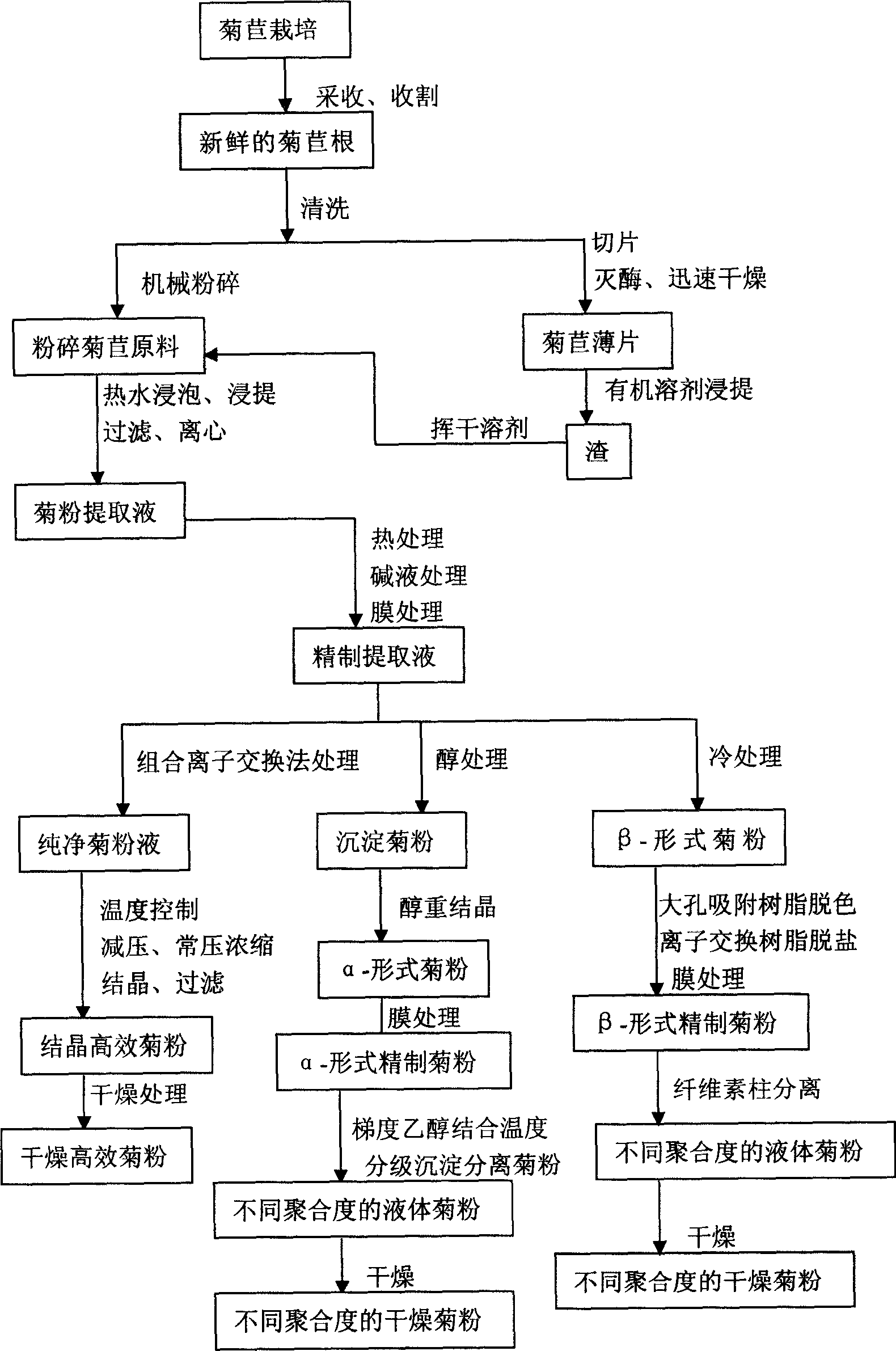 Process for extracting alantin