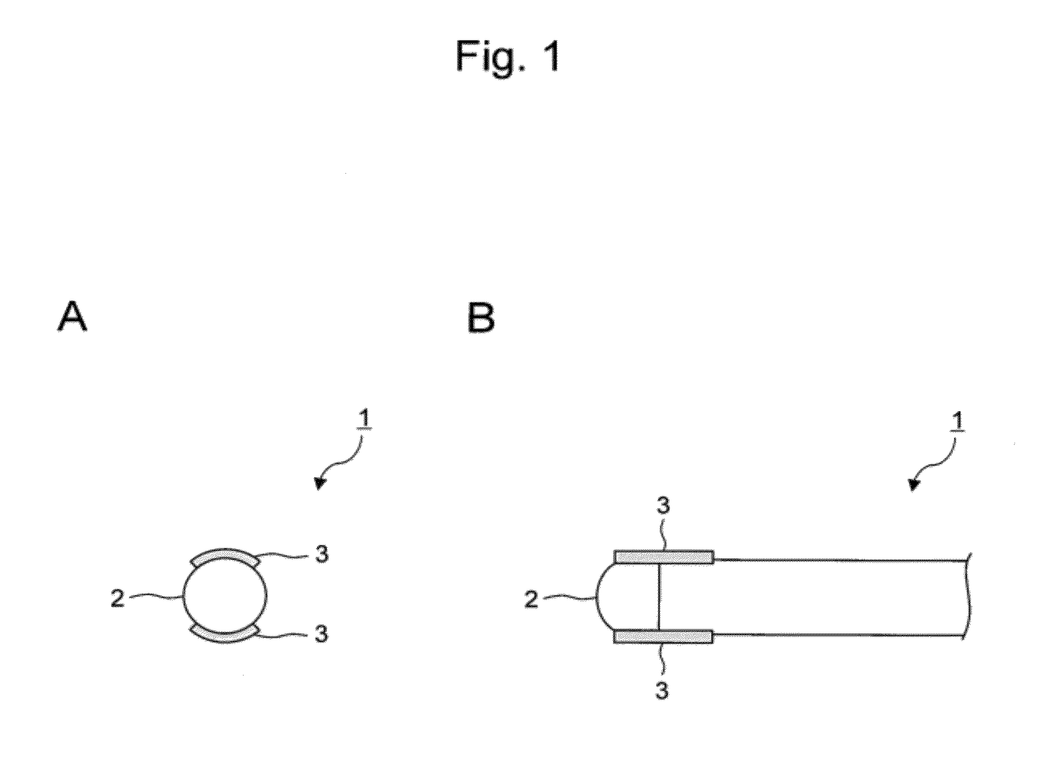 Catheter for performing photodynamic ablation of cardiac muscle tissue via photochemical reaction