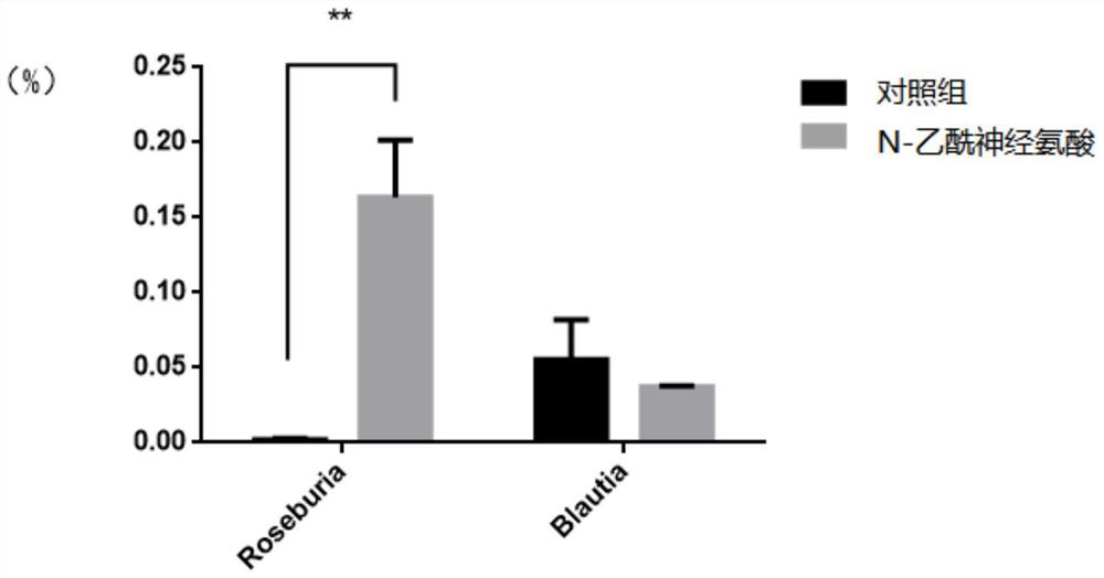 Application of N-acetylneuraminic acid in preparation of accelerant for promoting Roseburia proliferation