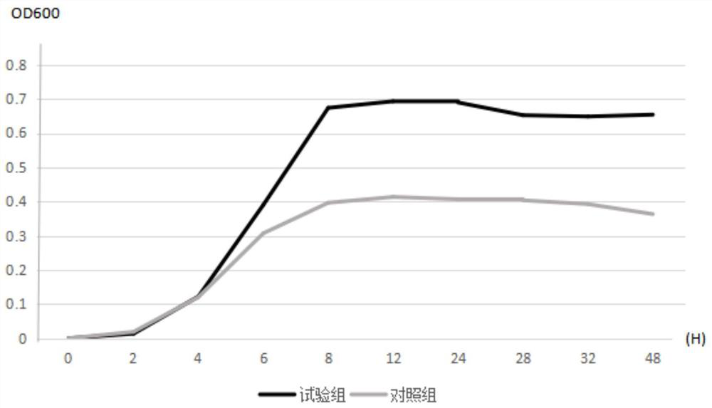 Application of N-acetylneuraminic acid in preparation of accelerant for promoting Roseburia proliferation