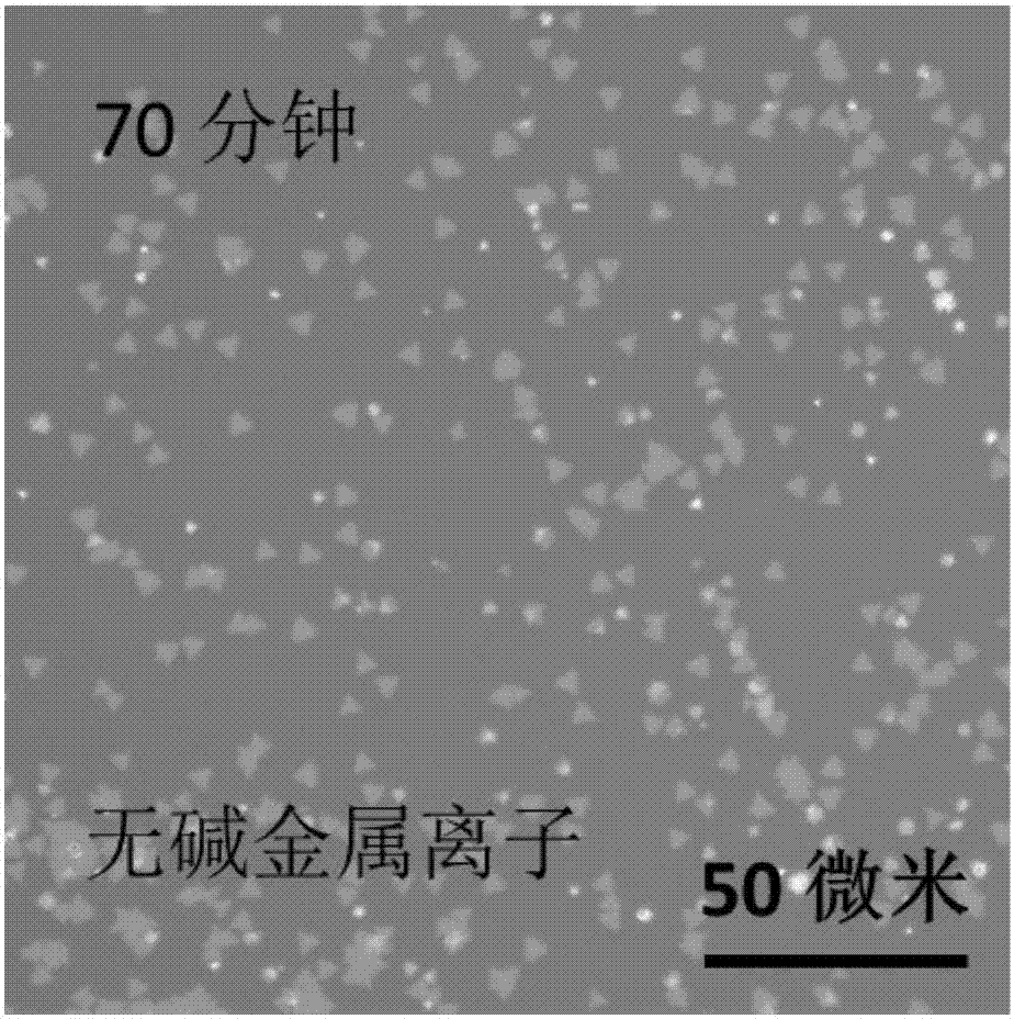 Method for alkali metal ions to assist transitional metal chalcogenides in growth