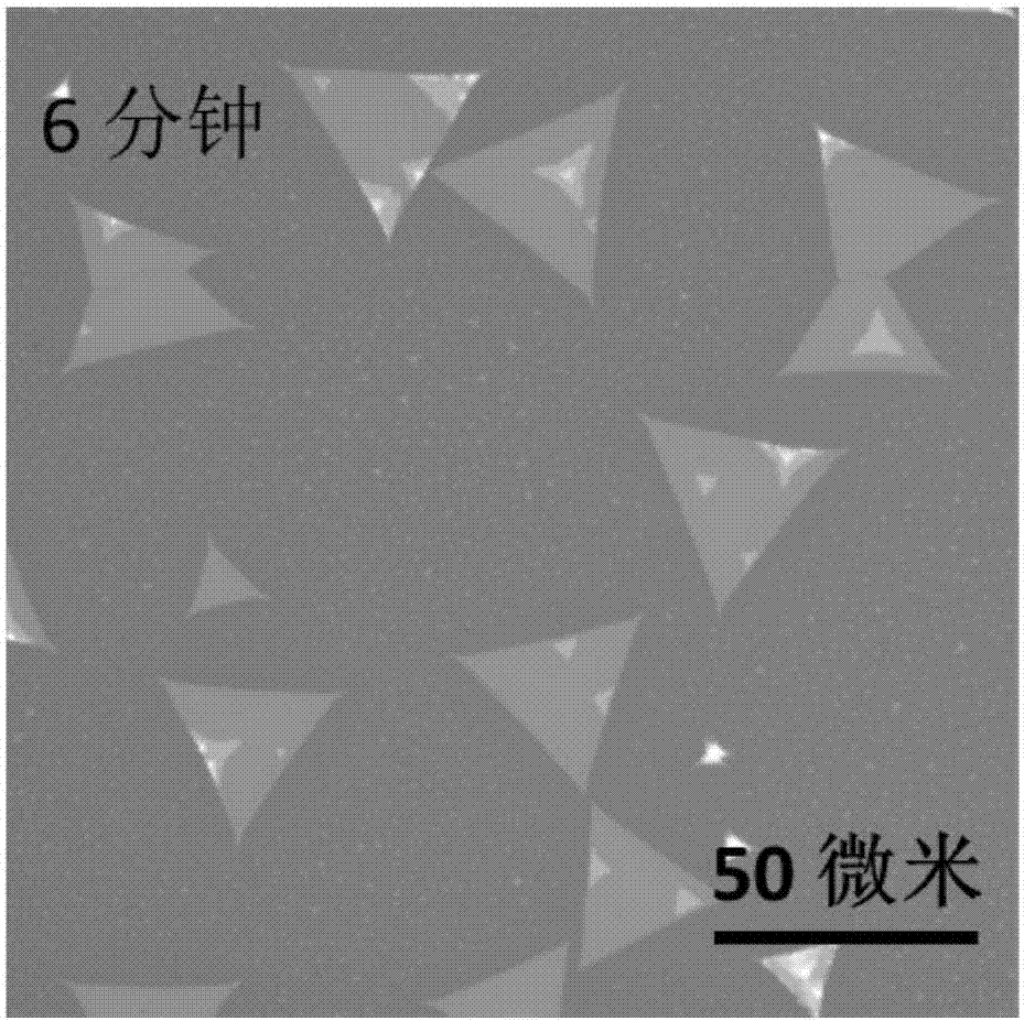 Method for alkali metal ions to assist transitional metal chalcogenides in growth