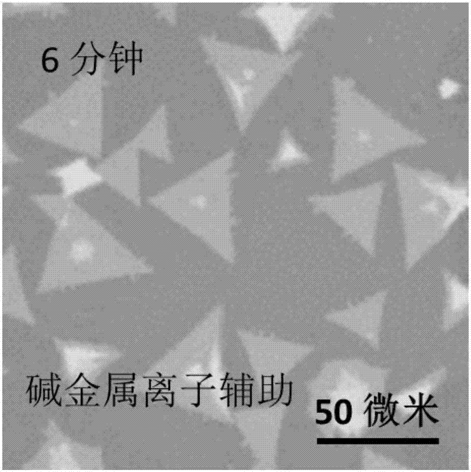 Method for alkali metal ions to assist transitional metal chalcogenides in growth