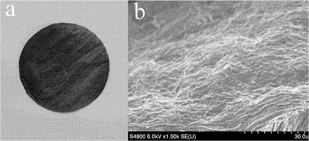 Flexible supercapacitor and preparation method thereof