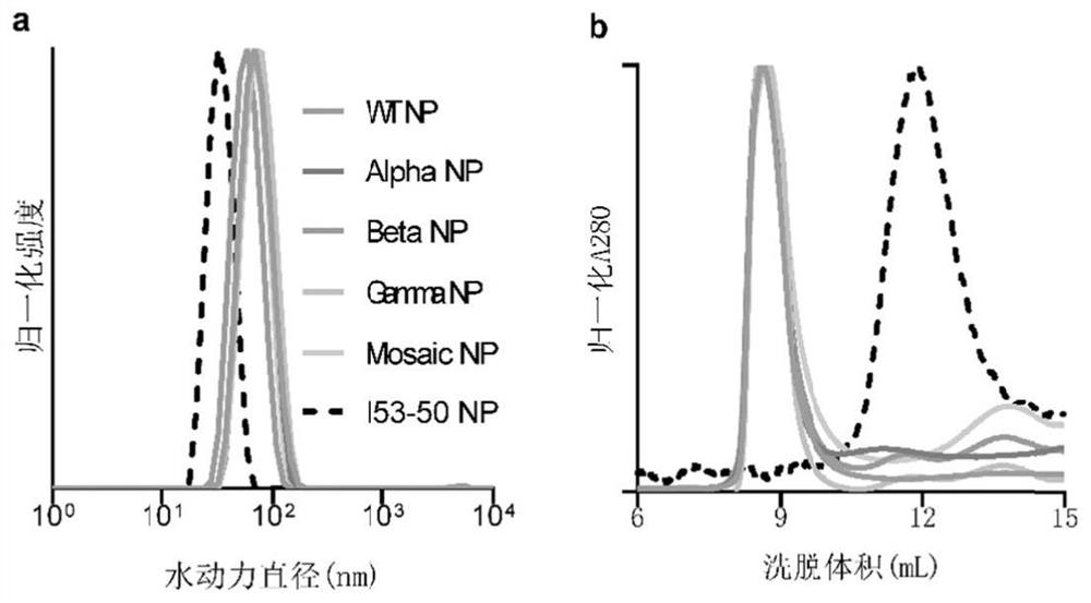 Quadrivalent SARS-CoV-2 chimeric nanoparticle vaccine as well as preparation method and application thereof