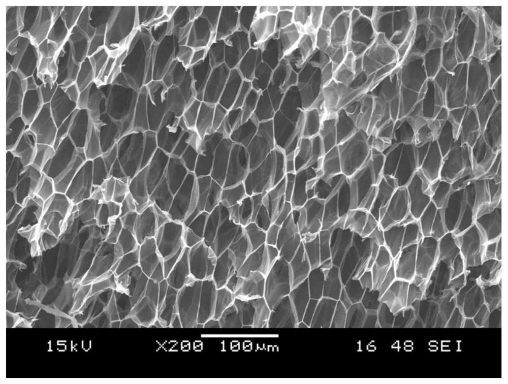 A kind of low-density polypropylene foam with thermal insulation performance and its preparation method and application