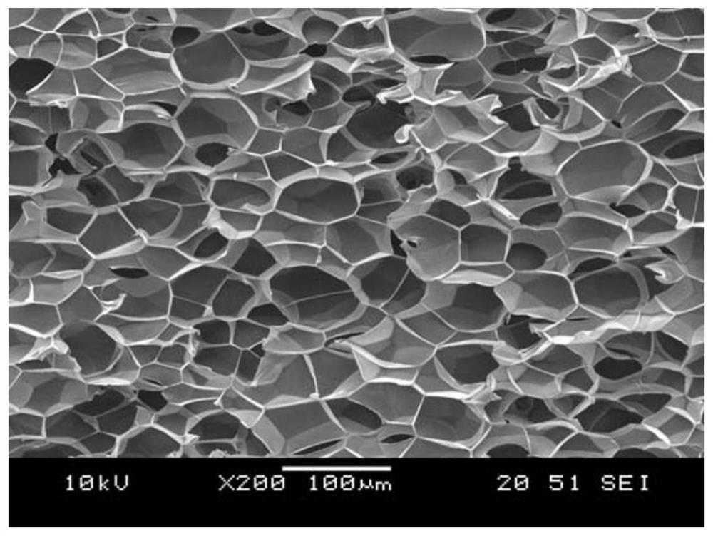 A kind of low-density polypropylene foam with thermal insulation performance and its preparation method and application