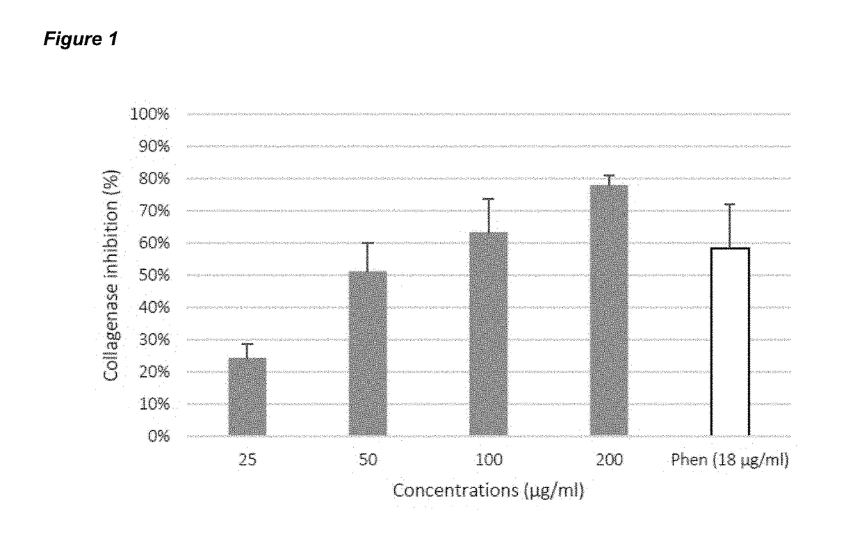 Tree bark extract as Anti-aging composition and uses thereof