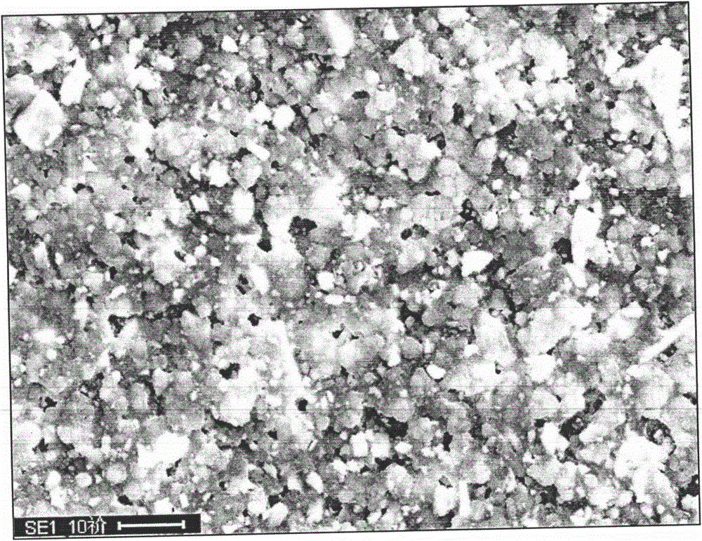 A kind of preparation method of the functional paste of sheet type electrostatic suppressor