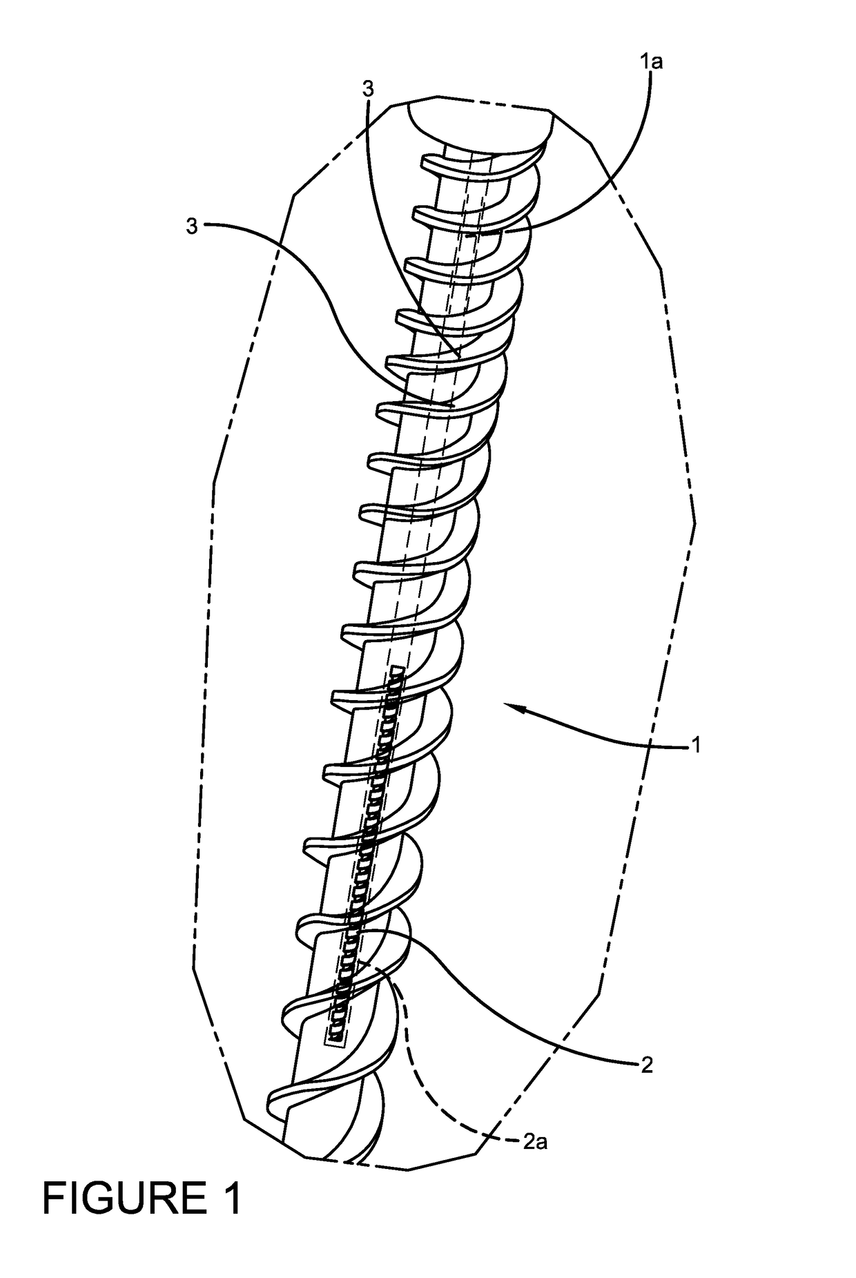 Elongate Implant Containing a Structurally Encoded Pin, Carrier and Reading System Therefor