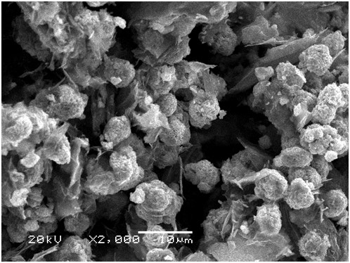 Vanadium pentoxide and rGO co-coated gradient ternary positive electrode material and preparation method thereof