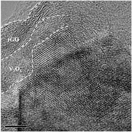 Vanadium pentoxide and rGO co-coated gradient ternary positive electrode material and preparation method thereof