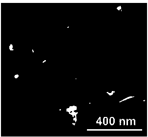 Preparation method for carbon nano tube-graphene composite foam