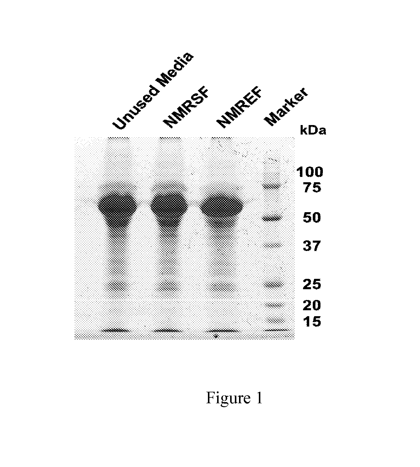 Compositions Comprising High Molecular Weight Hyaluronic Acid and Methods For Producing Same