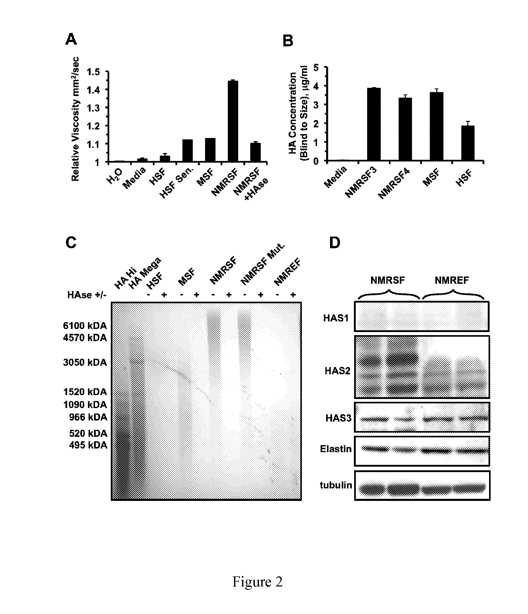 Compositions Comprising High Molecular Weight Hyaluronic Acid and Methods For Producing Same