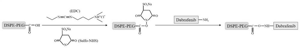 Preparation method of dabrafenib-loaded lipid nano-microbubble ultrasonic contrast agent