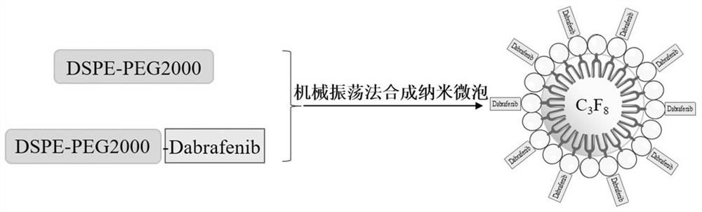 Preparation method of dabrafenib-loaded lipid nano-microbubble ultrasonic contrast agent