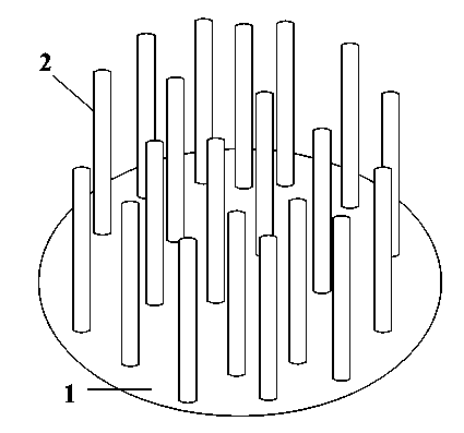 Purification process for caprolactam