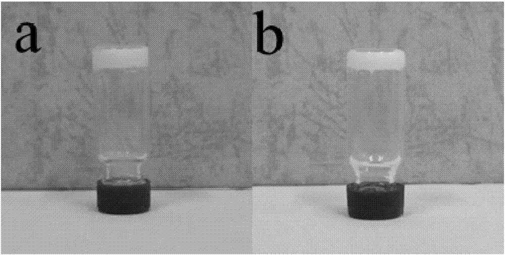 Organogel compound of 4-nitrophenylthiourea, and preparation method, gel and applications of organogel compound