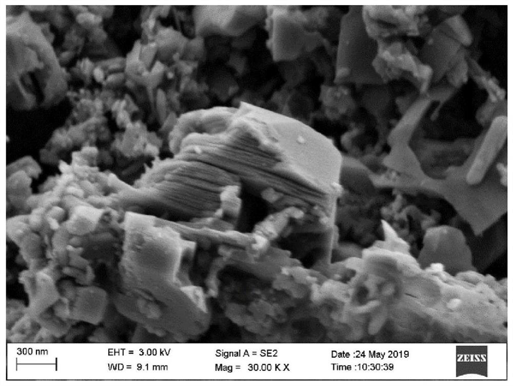 A kind of preparation method of selenium nanosheet