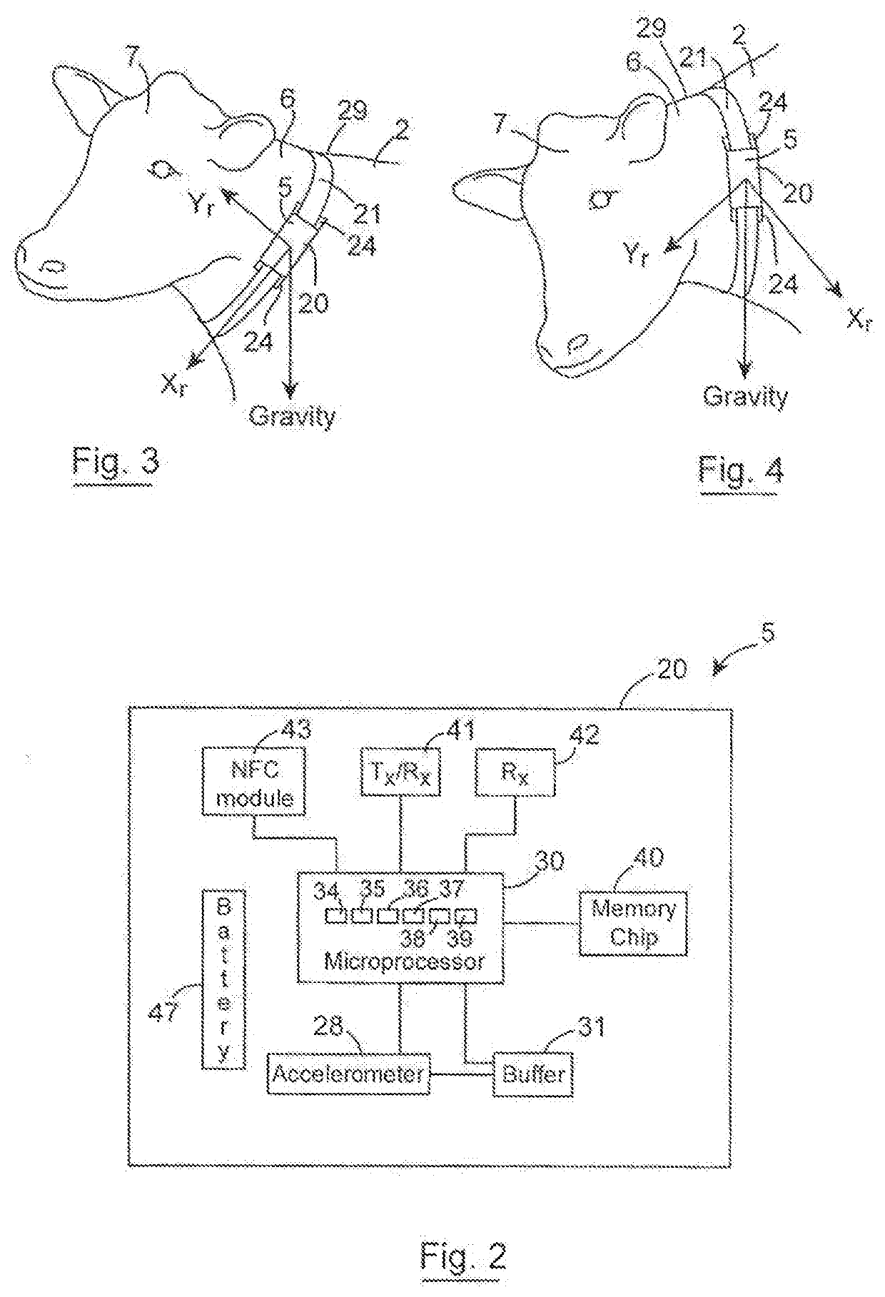 Method, a device and a system for detecting a state of an animal