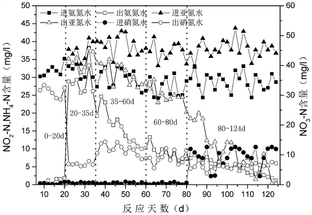 Quick starting method and device for autotrophic nitrogen removal of low-concentration wastewater