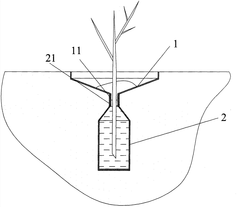 Device and method for planting desert plants