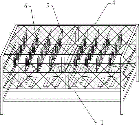 Seabed comprehensive cultivation device for stichopus japonicus and comb shells