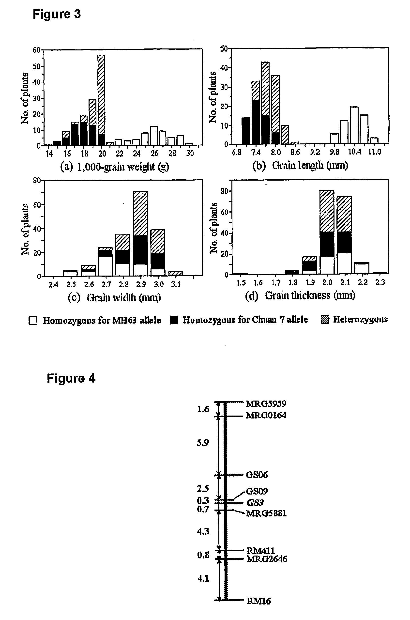 Rice Gene, GS3, Exerting Primary Control Over Grain Length and Grain Weight