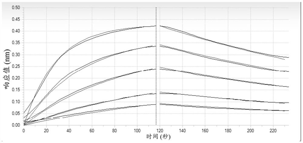 Anti-PD-1 antibody and medical application thereof