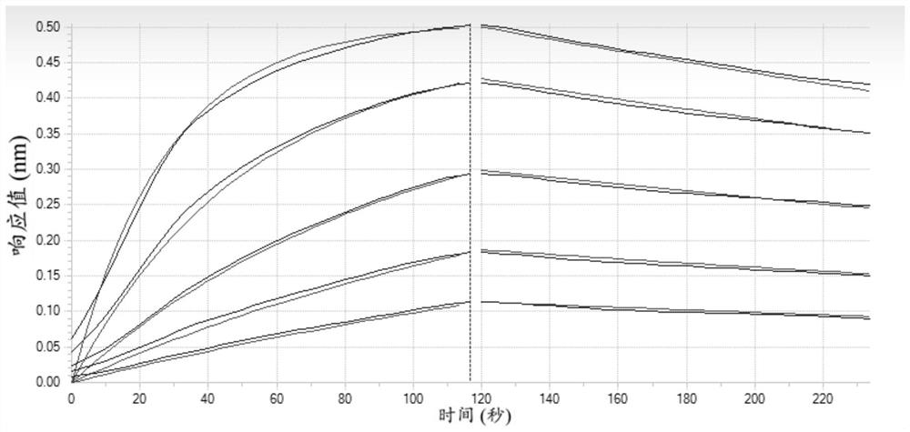 Anti-PD-1 antibody and medical application thereof