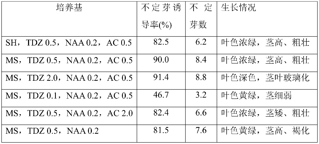 A method for tissue culture and rapid propagation of Polygonatum longiflorum