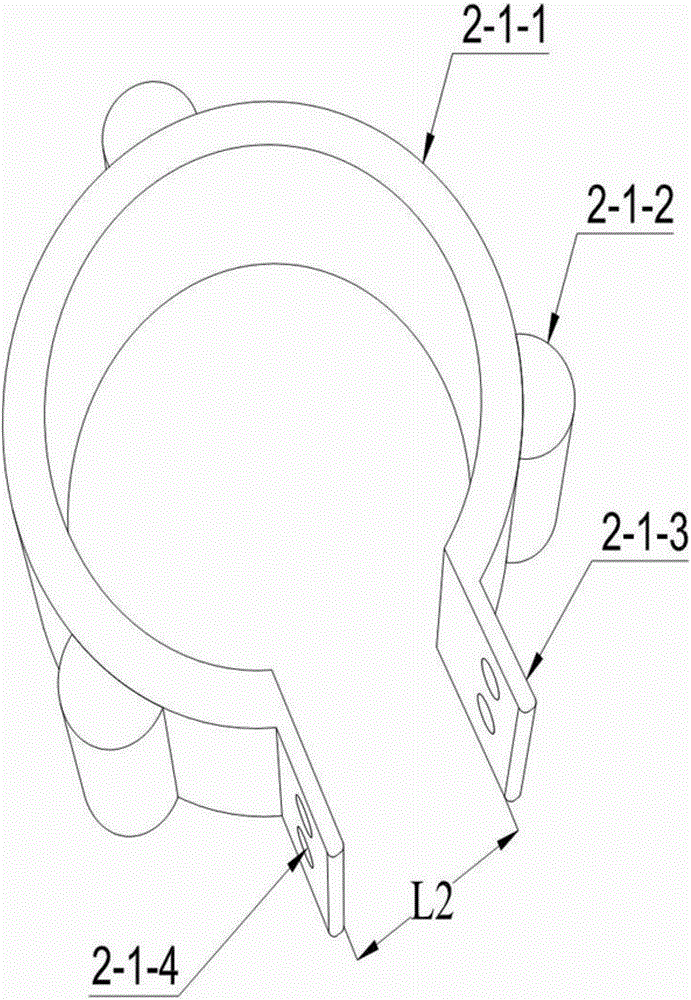 Landscaping tree fixing and righting device and use method thereof