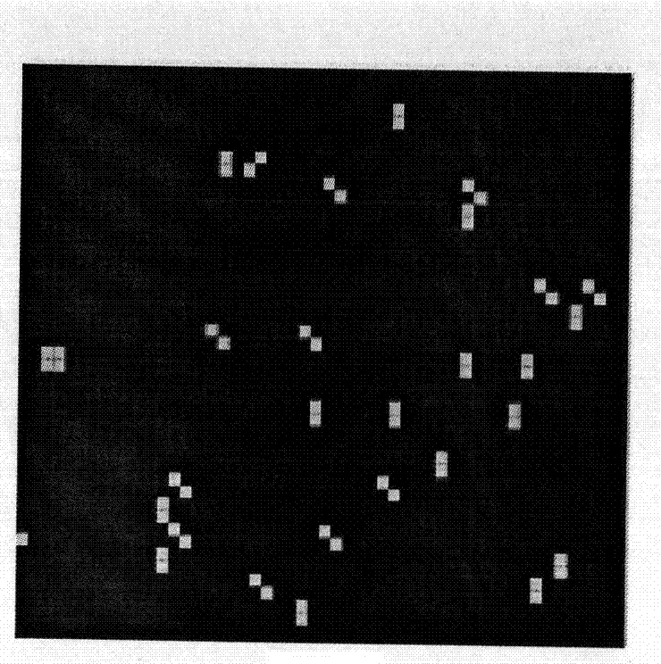 Test method on failure analysis of storage cell